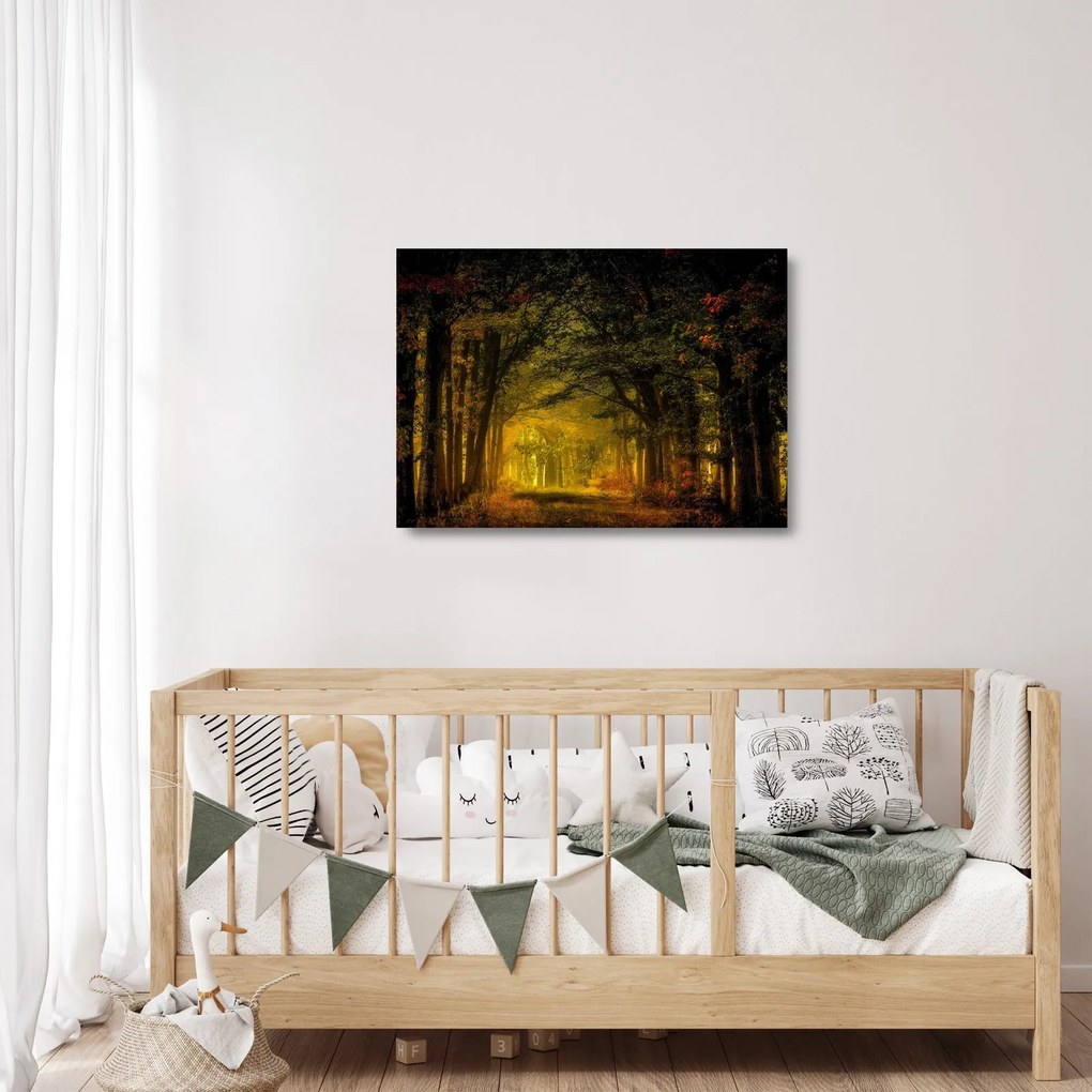 Obraz na szkle lasu (70x50 cm)