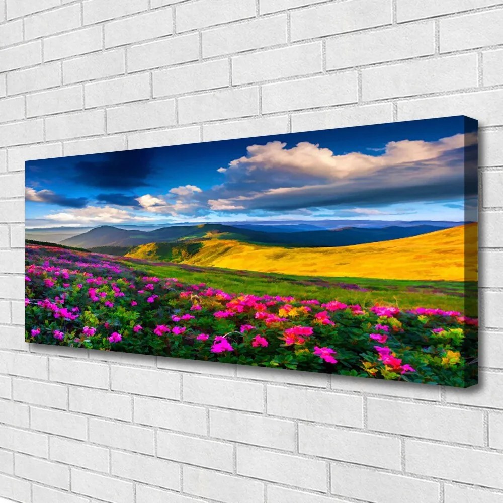 Fotoobraz na płótnie Malownicza Łąka Kwiatowa