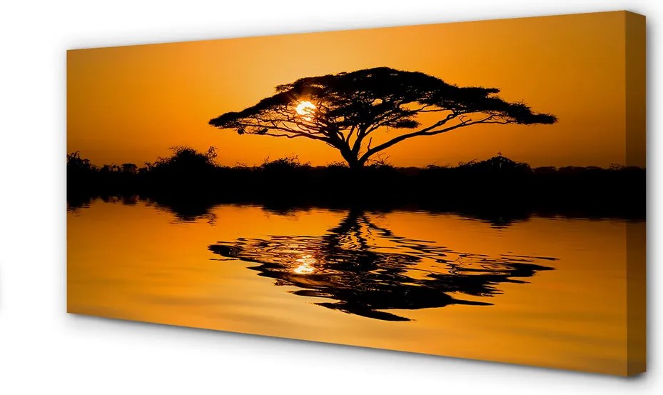 Obraz drukowany na płótnie Drzewo o Zachodzie Słońca