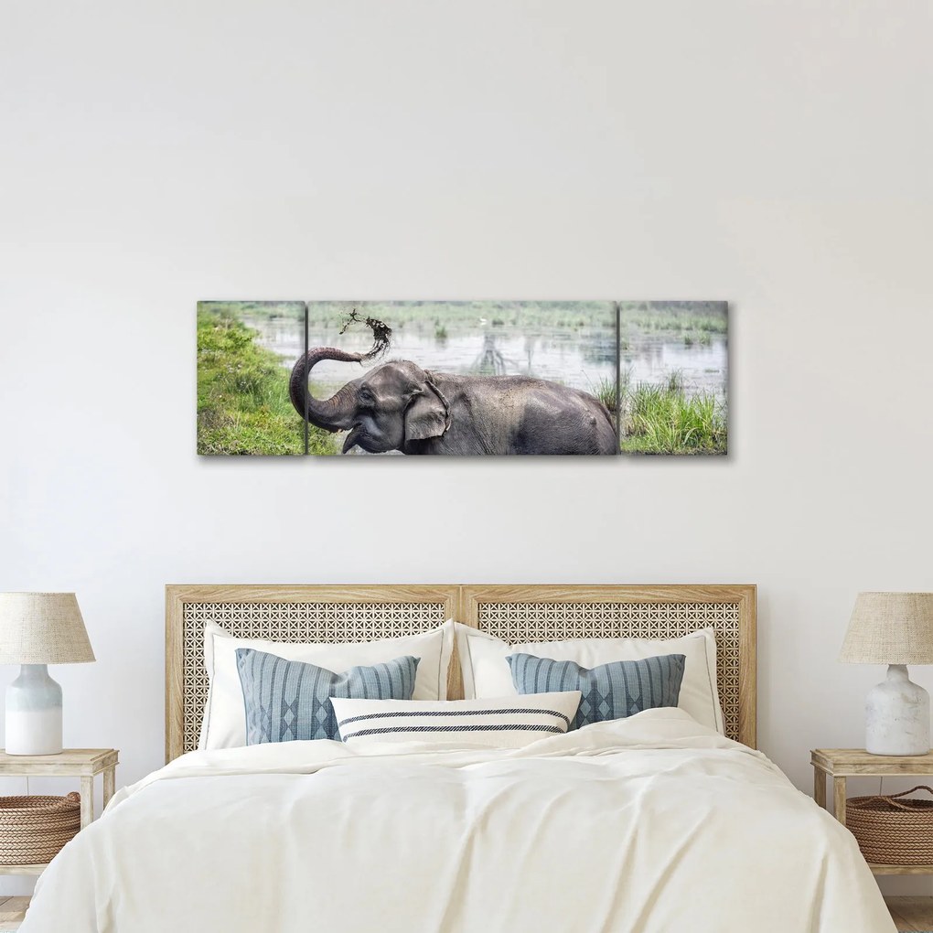 Obraz - Kąpiący się słoń (170x50 cm)