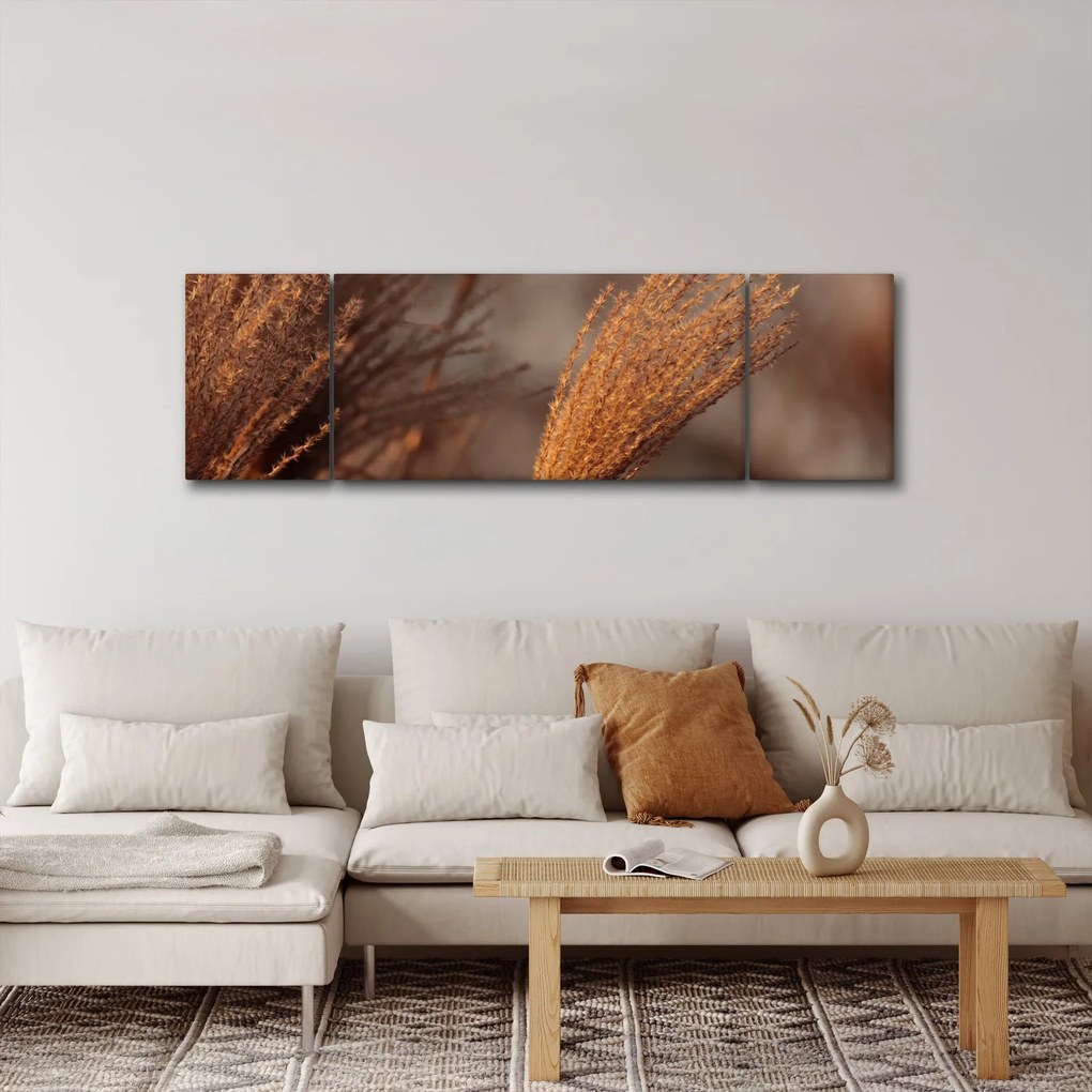 Obraz - Kortaderia (170x50 cm)