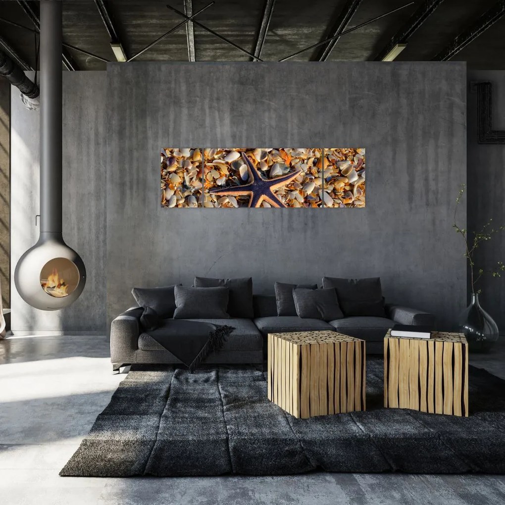 Obraz rozgwiazdy (170x50 cm)