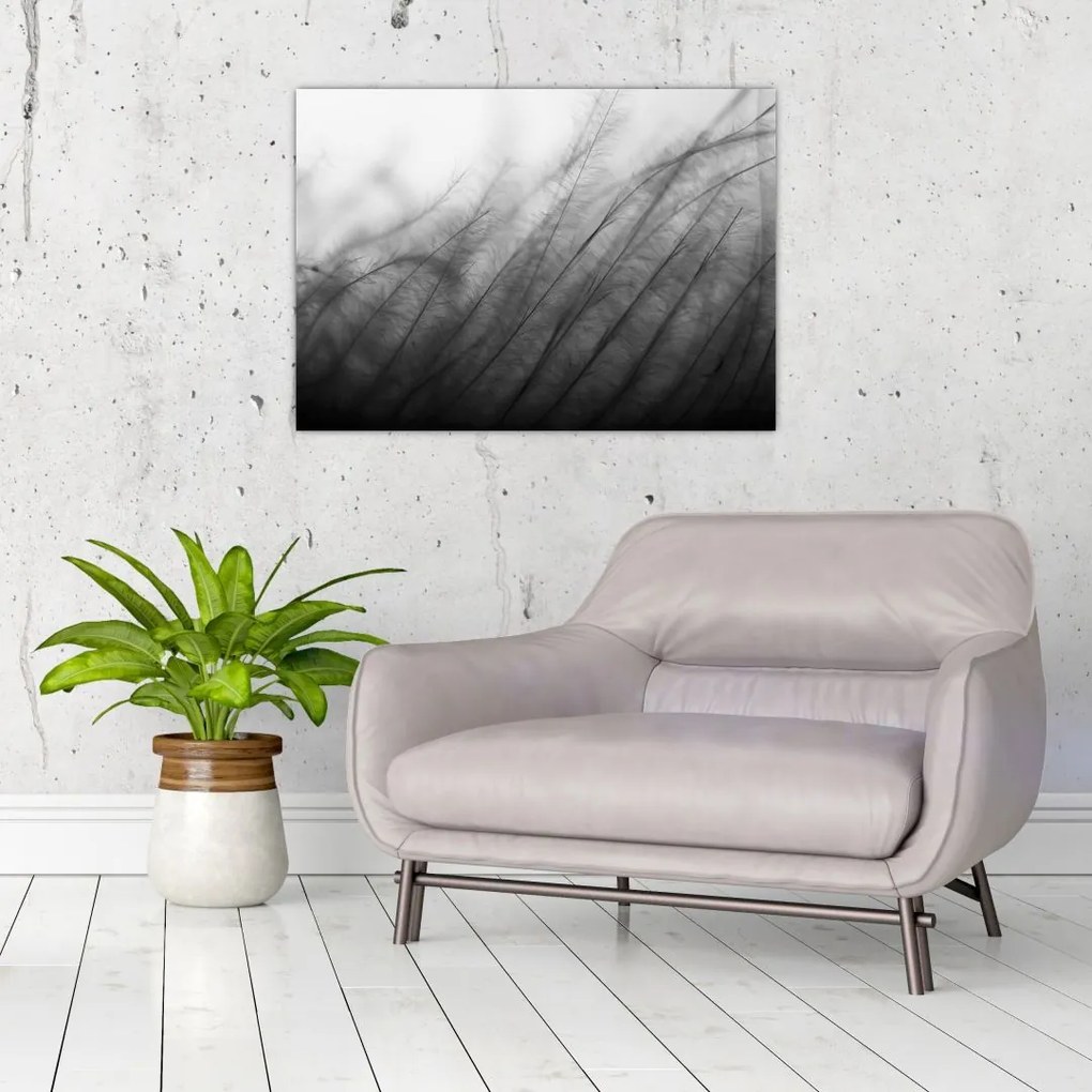 Obraz na szkle - Trawa na wietrze (70x50 cm)