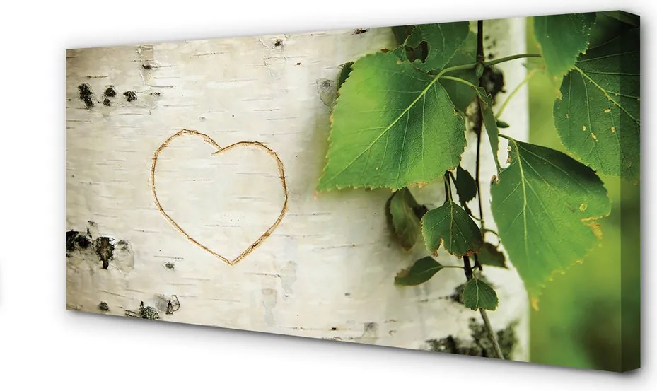 Zdjęcie na płótnie Serce z Liści Brzozy
