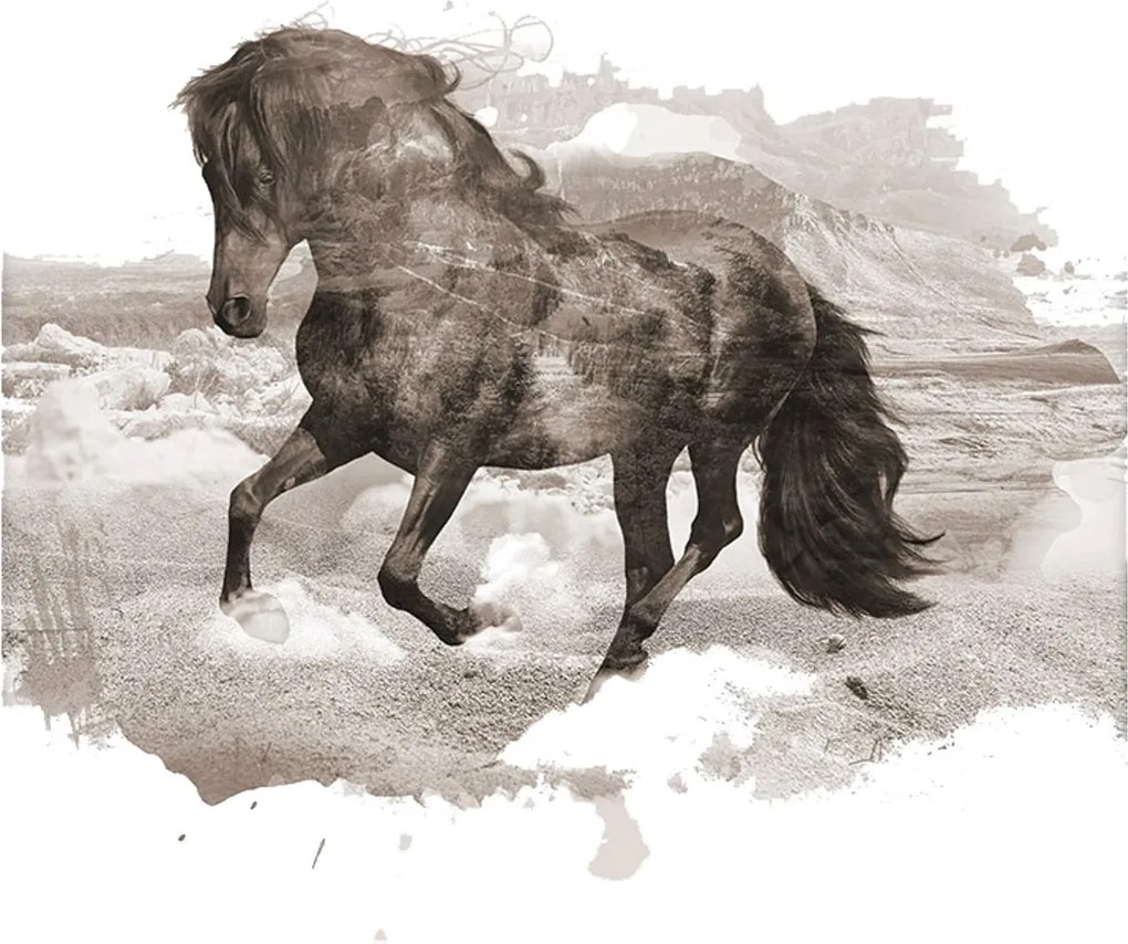 Plakat Horse