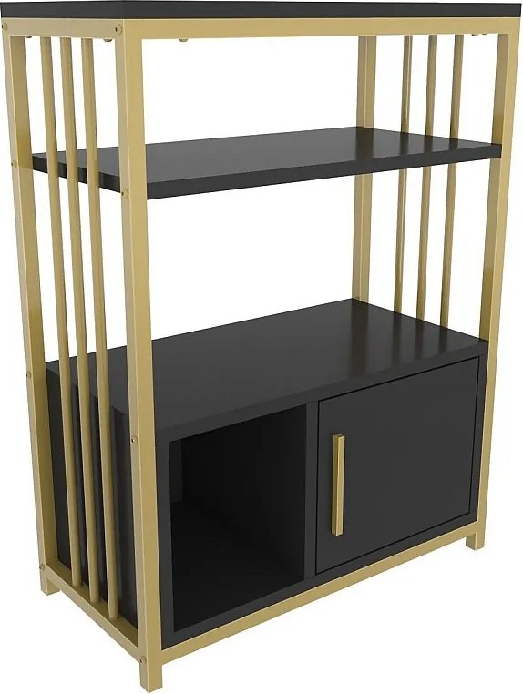 Elegancki regał w kolorze antracytowym i złotym, 60 x 80 x 29,6 cm | Płyta wiórowa pokryta melaminą w 100%, grubość 18 mm | Idealny do nowoc