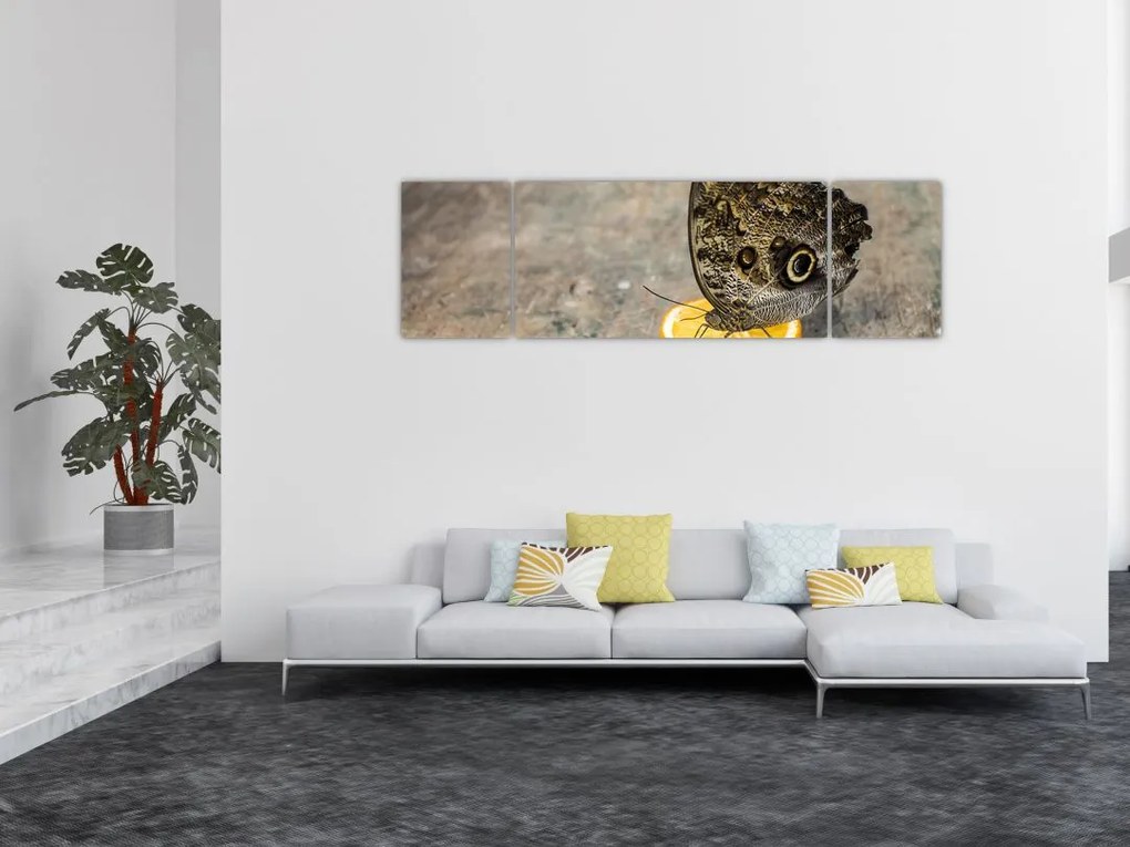 Obraz motyla (170x50 cm)