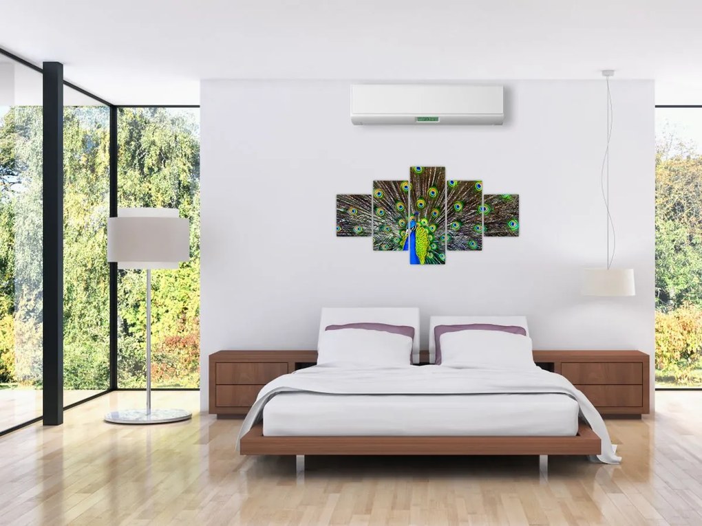 Obraz - Paw (125x70 cm)
