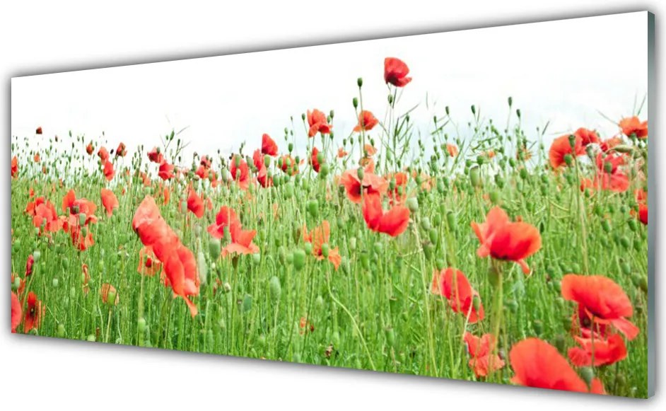 Panel nad blat kuchenny Krwistoczerwone Maki