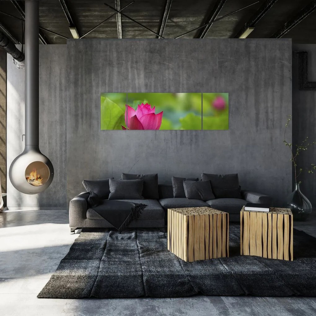 Obraz - roślina wodna (170x50 cm)
