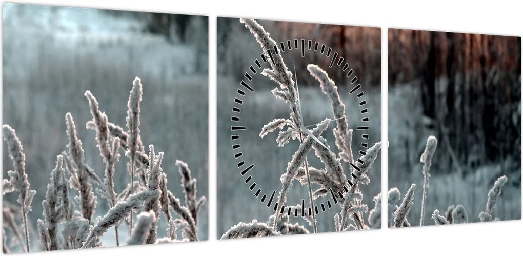 Obraz - Frozen Meadow (z zegarem) (90x30 cm)