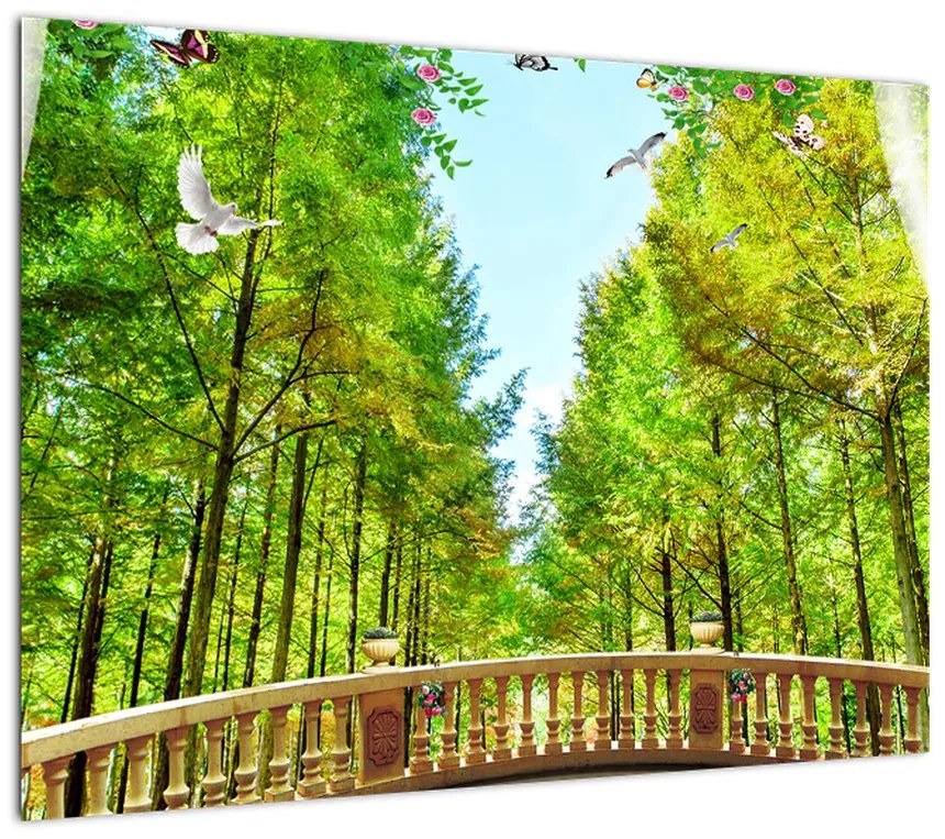 Obraz - Widok na las (70x50 cm)