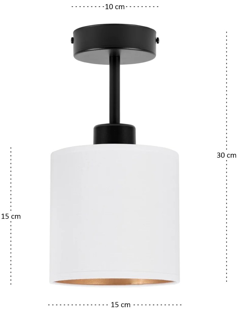 Lampa sufitowa czarna jednopunktowy spot z białym abażurem C-1010SC-WE