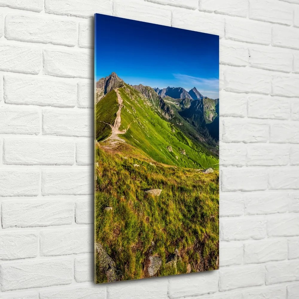 Fotoobraz szklany na ścianę do salonu Tatry