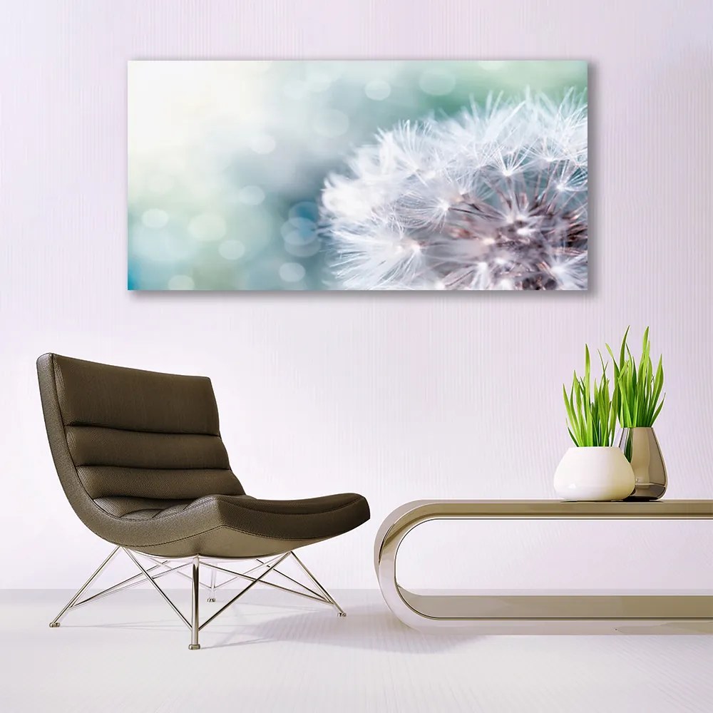 Obraz na płótnie Złocisty Mniszek na Wietrze