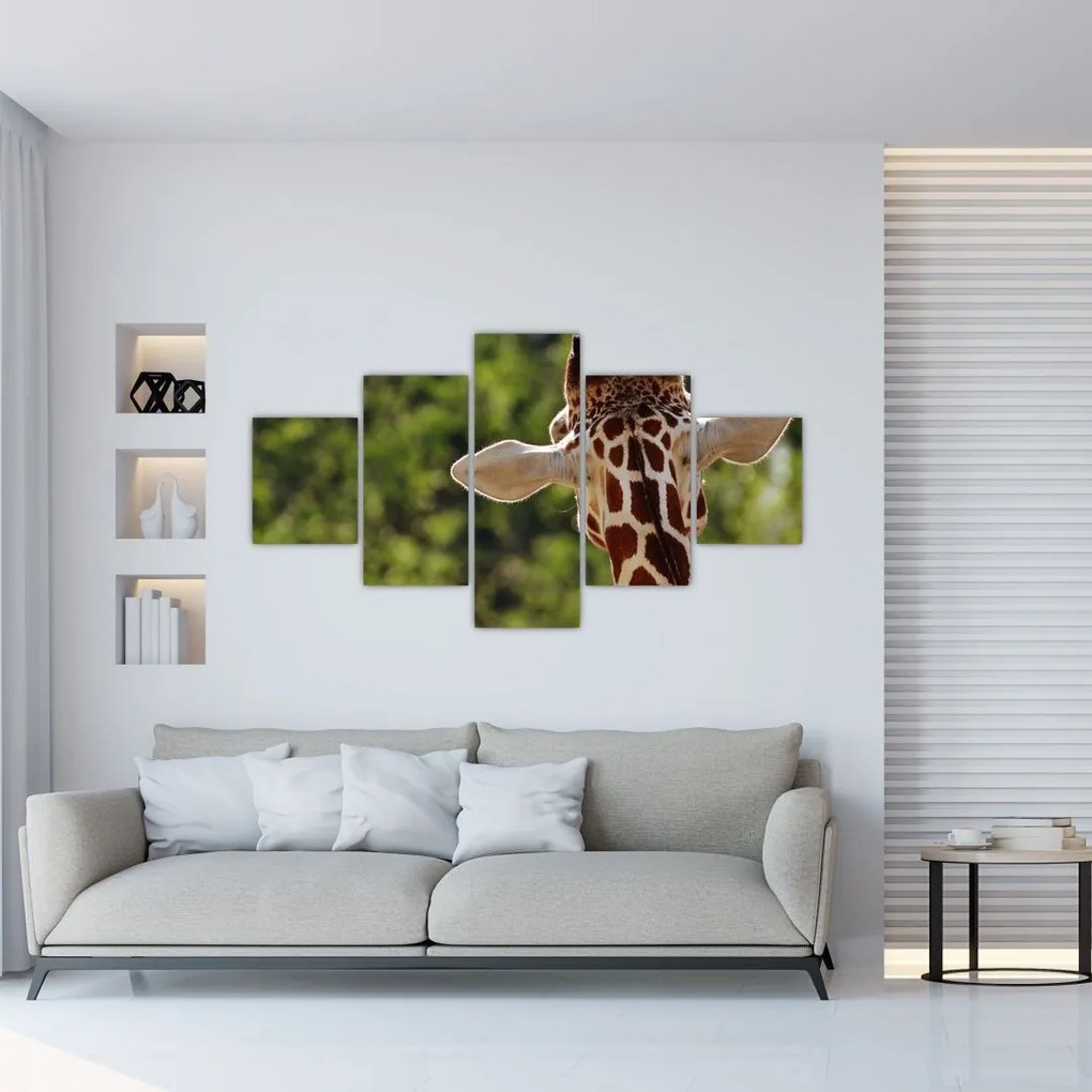 Obraz żyrafy od tyłu (125x70 cm)