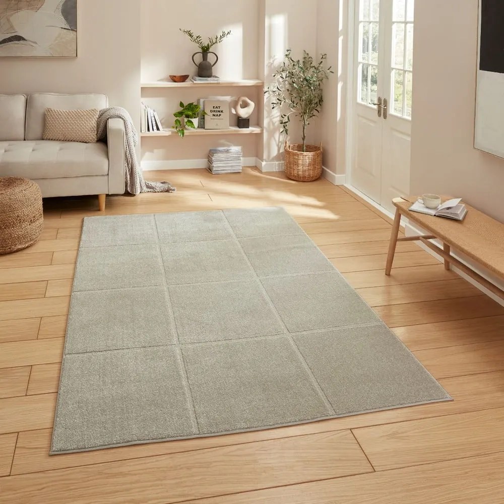 Jasnoszary dywan 200x290 cm Elio Silver – Think Rugs