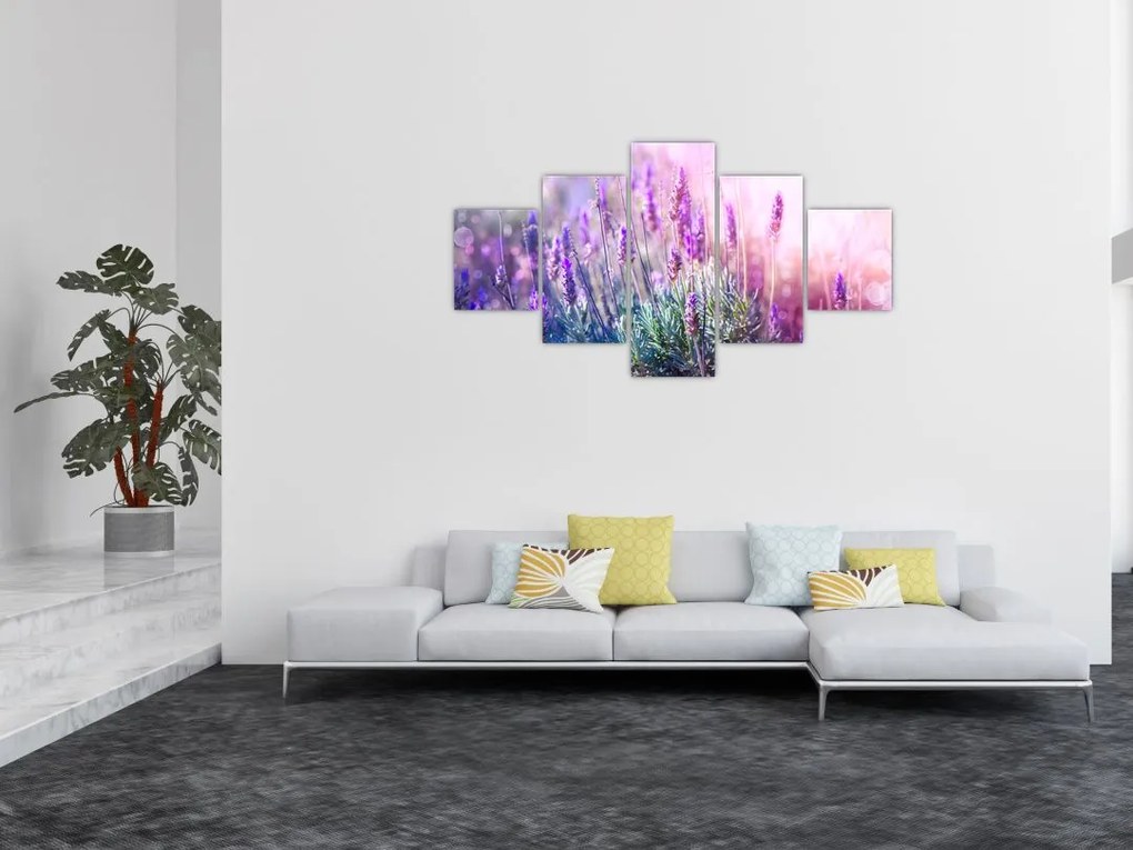 Obraz - Lawenda w słońcu (125x70 cm)