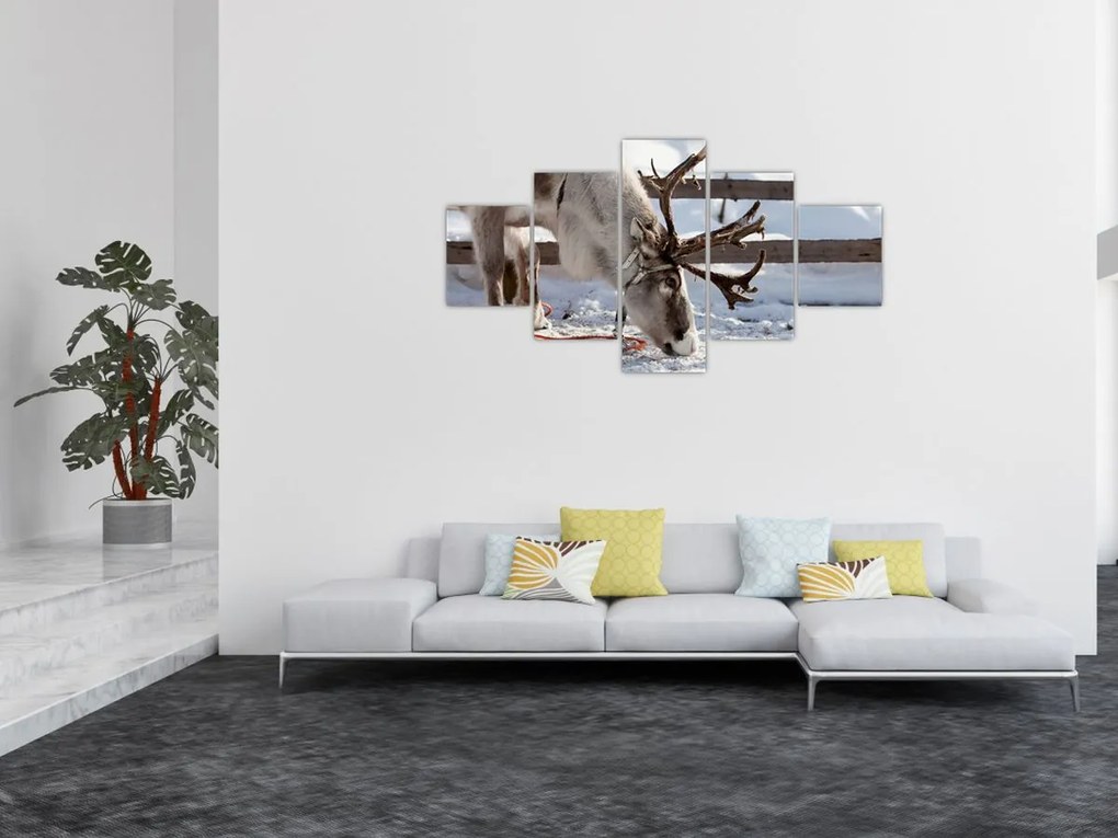 Obraz - Sat (125x70 cm)