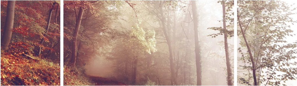 Obraz - Jesienny spacer po lesie (170x50 cm)