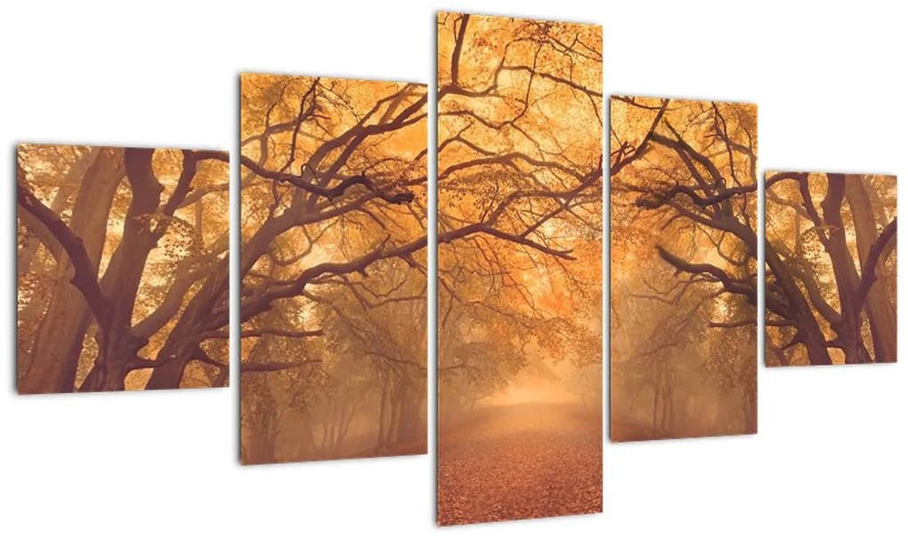 Obraz drogi w jesiennym krajobrazie (125x70 cm)