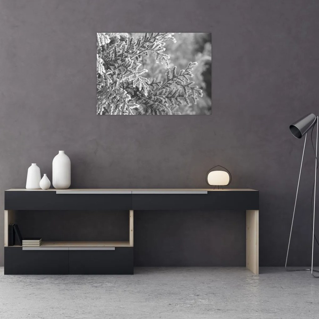 Obraz - Las świerkowy (70x50 cm)