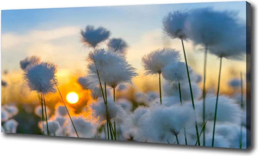 Obraz canvas Romantyczna Natura w Kwiatach