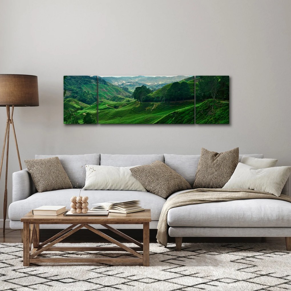 Obraz - Plantacje herbaty w Malezji (170x50 cm)