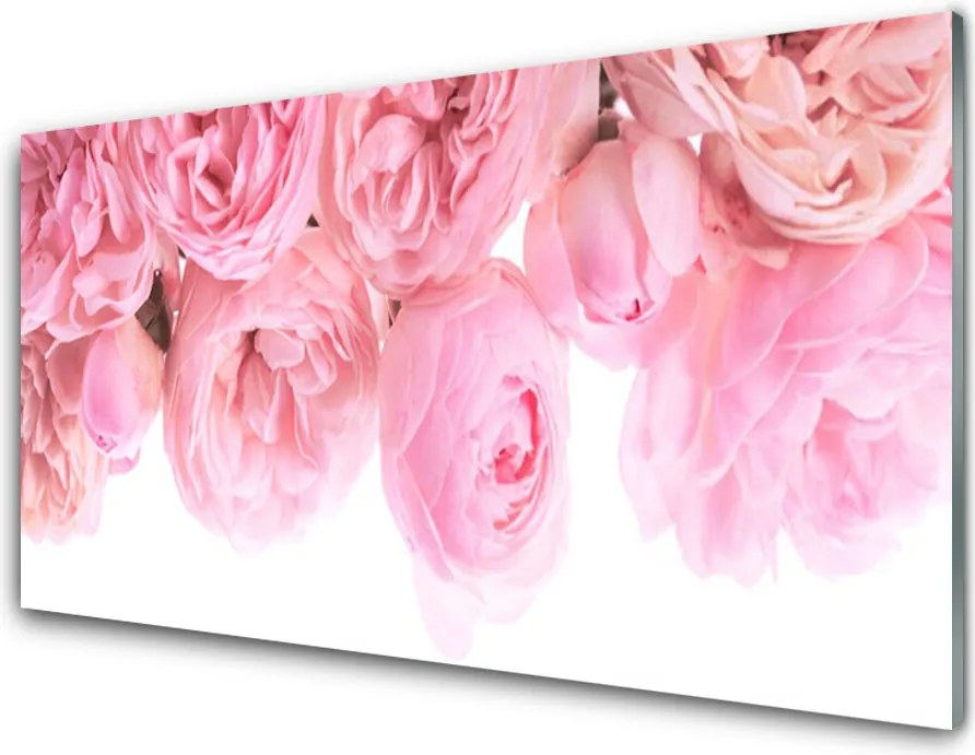 Panel Szklany do Kuchni Aksamitne Róże w Ogrodzie