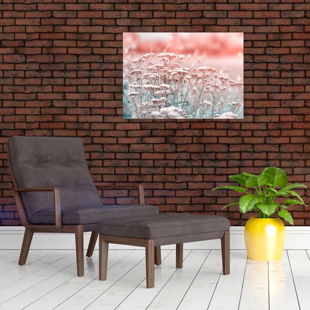 Obraz - Kwiaty polne (70x50 cm)