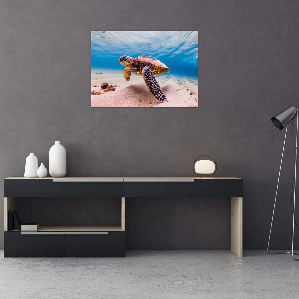 Obraz na szkle żółwia w oceanie (70x50 cm)