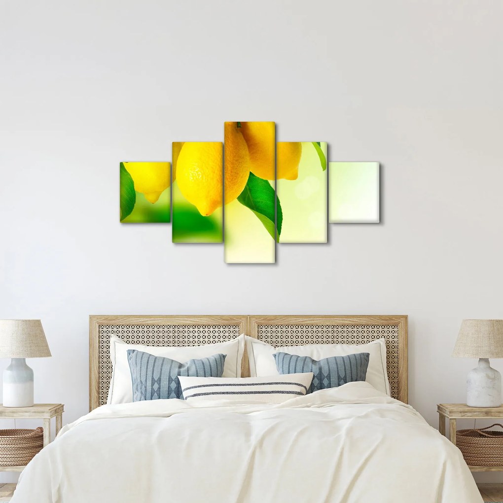 Obraz cytryn (125x70 cm)