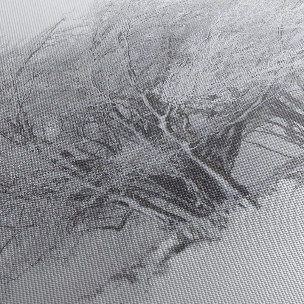Obraz - Biała zima (z zegarem) (90x30 cm)