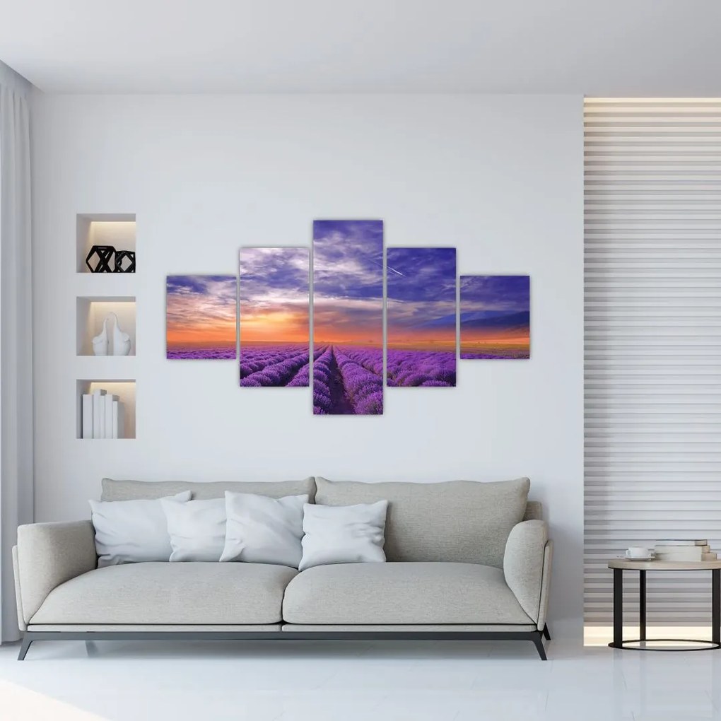 Obraz lawendowego pola (125x70 cm)