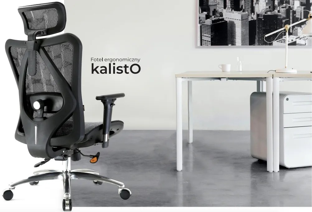 Ergonomiczny fotel biurowy Kalisto, zgodny z normą BHP