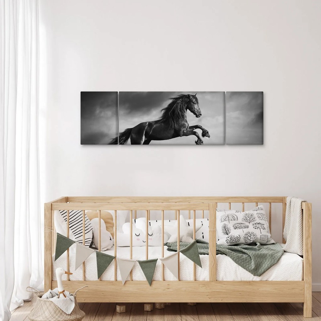 Obraz - Czarny i biały koń (170x50 cm)