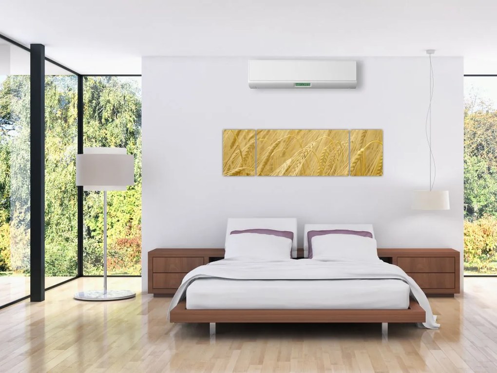Obraz - Jęczmień (170x50 cm)