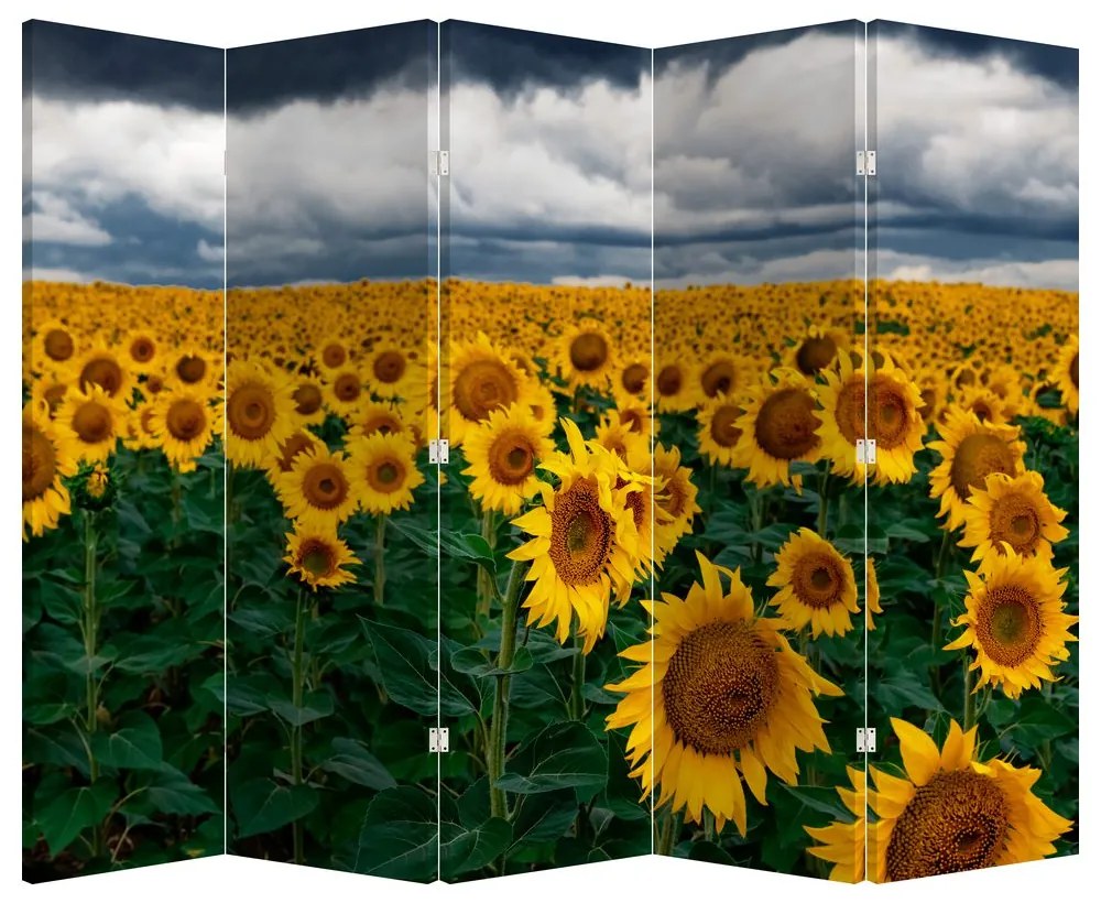 Parawan - Pole słoneczników (210x170 cm)