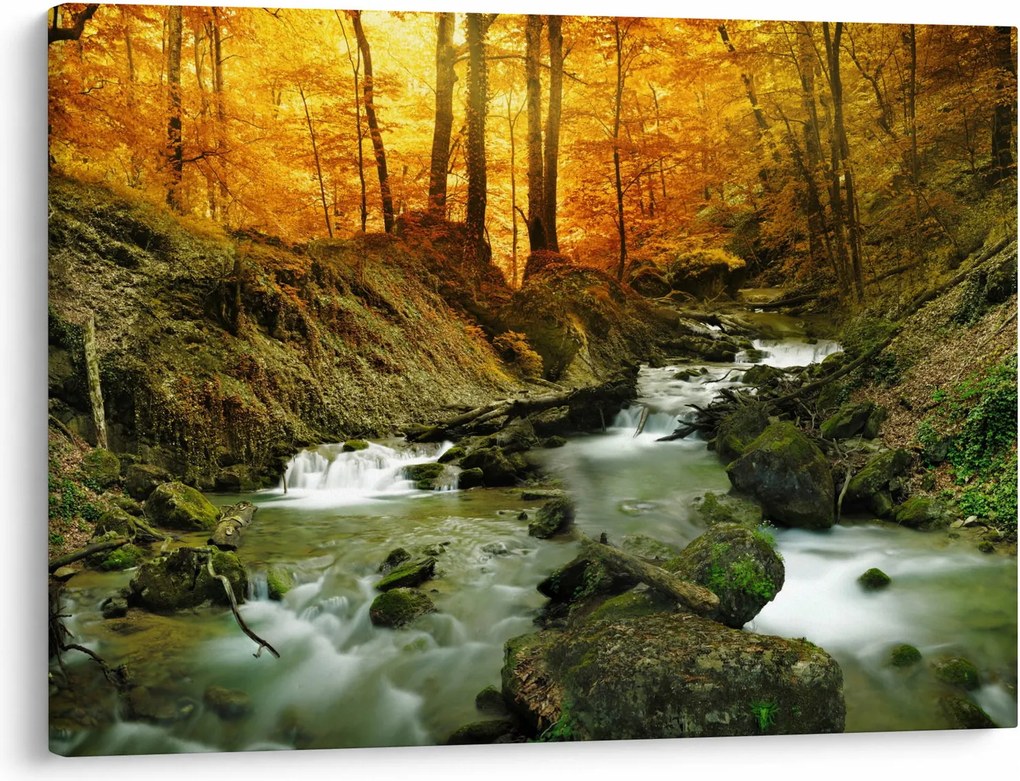 Obraz - Las (70x50 cm)