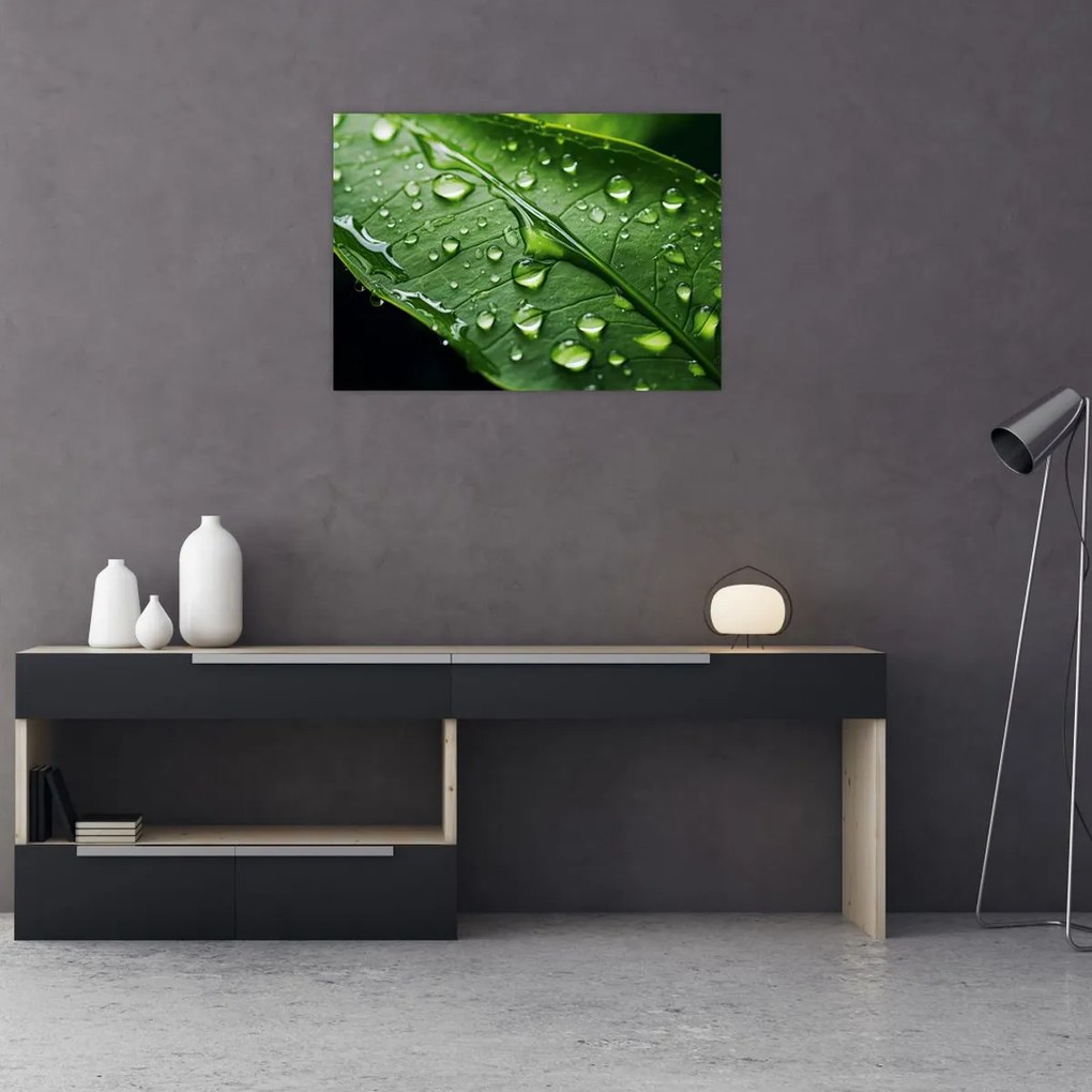 Obraz na szkle - Liść po deszczu (70x50 cm)