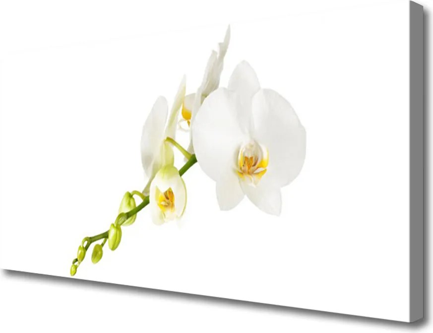 Obraz canvas Pełnia Kwiatowego Rozkwitu