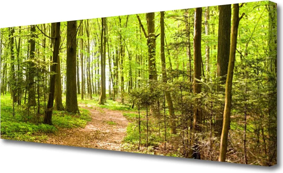 Obraz na płótnie Ścieżka w Głębi Lasu