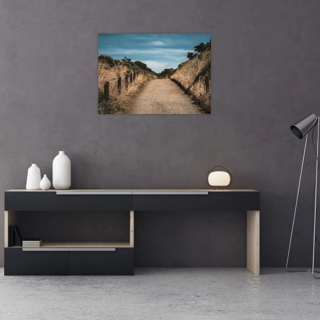Obraz na szkle - Na szlaku (70x50 cm)