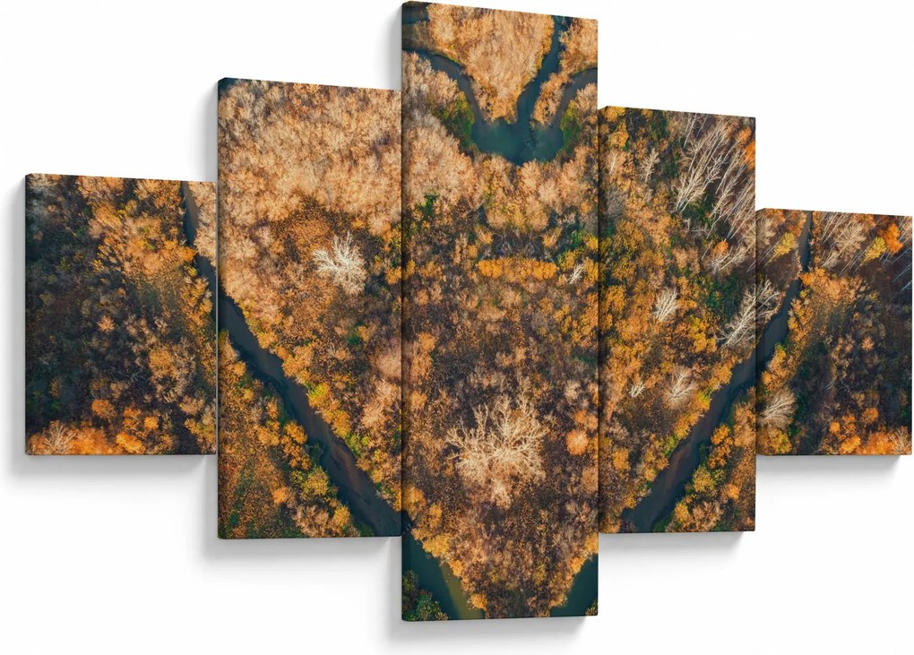 Obraz - Rzeka w kształcie serca (125x70 cm)