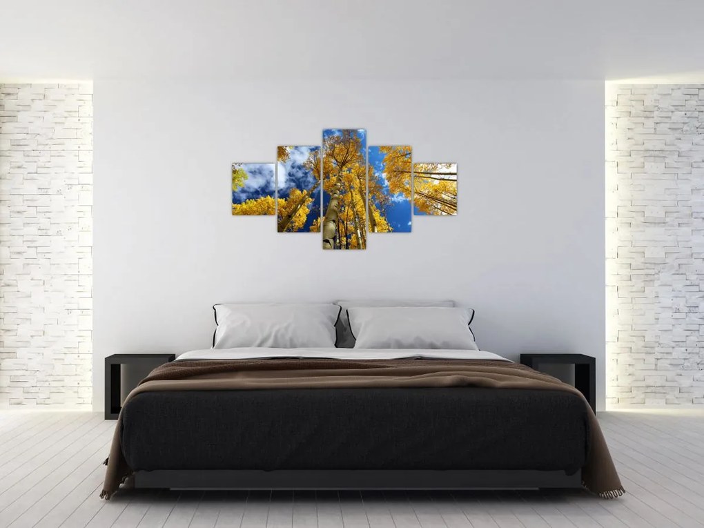 Obraz - Aspen (125x70 cm)