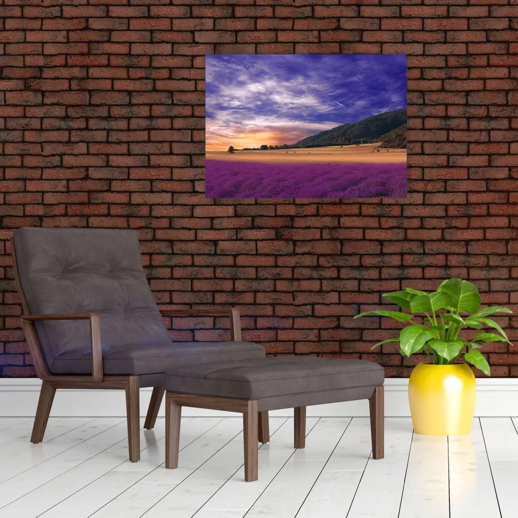 Obraz na szkle lawendowej łąki (70x50 cm)