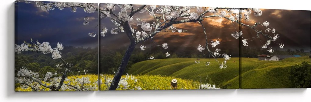 Obraz - Kwitnące drzewo w krajobrazie (170x50 cm)