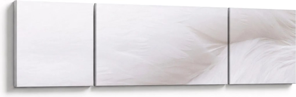 Obraz - Szczegół piórka (170x50 cm)