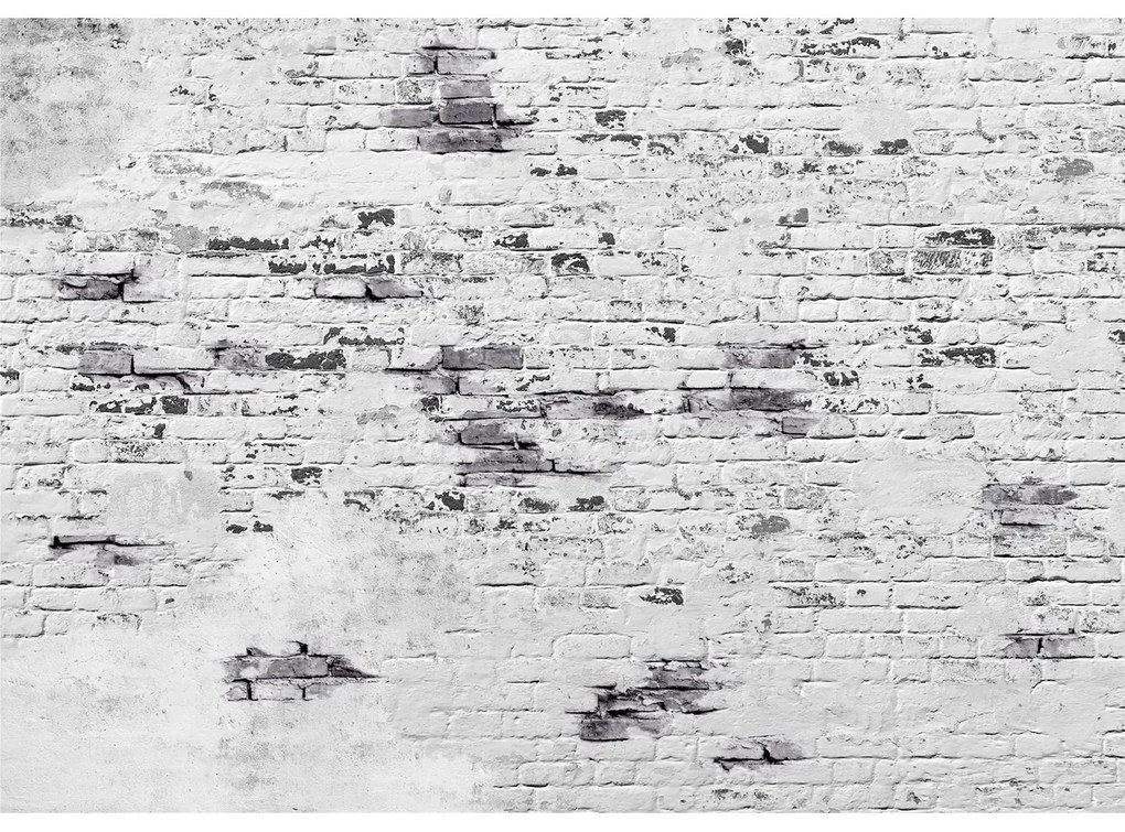 Fototapeta flizelina XXL Bricks 360 x 254 cm, 4części