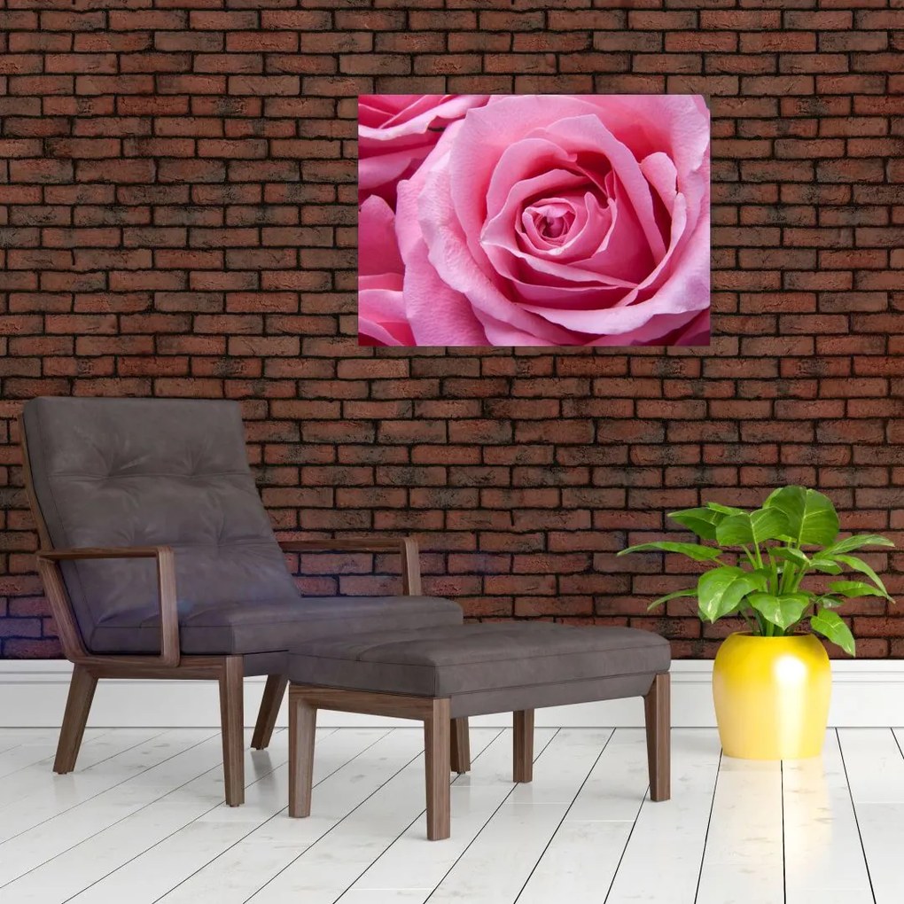 Obraz na szkle róży (70x50 cm)